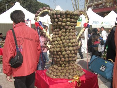 normal_56%5E_Sagra_003_Coppa1.JPG