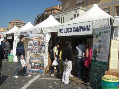 normal_56_sagra_carciofo01.jpg