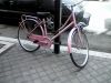 Nome del file : Bicicletta.jpg
Dimensione file : 45KB
Dimensioni : 640x480
Aggiunta il : 12 Ott 2008 Bicicletta.jpg