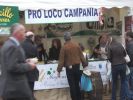 Nome del file : Pro_loco~0.jpg
Dimensione file : 96KB
Dimensioni : 800x600
Aggiunta il : 19 Apr 2007 Pro_loco~0.jpg