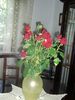 Nome del file : Rose.jpg
Dimensione file : 134KB
Dimensioni : 600x800
Aggiunta il : 11 Giu 2008 Rose.jpg