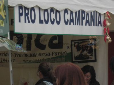 normal_Pro_Loco_Campania.jpg